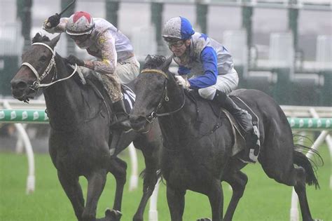 Queensland Derby preview and tips: Runner.